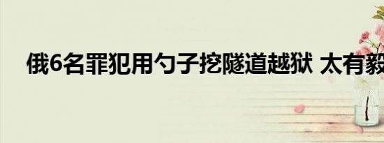 俄6名罪犯用勺子挖隧道越狱 太有毅力了