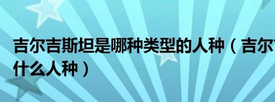 吉尔吉斯坦是哪种类型的人种（吉尔吉斯坦是什么人种）