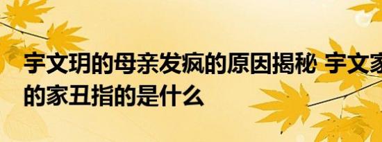 宇文玥的母亲发疯的原因揭秘 宇文家16年前的家丑指的是什么