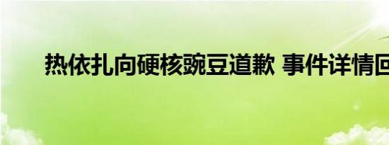 热依扎向硬核豌豆道歉 事件详情回顾