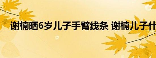 谢楠晒6岁儿子手臂线条 谢楠儿子什么样