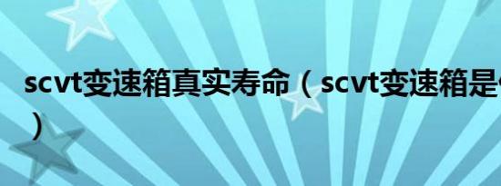 scvt变速箱真实寿命（scvt变速箱是什么意思）