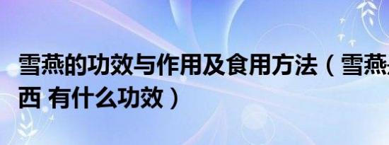 雪燕的功效与作用及食用方法（雪燕是什么东西 有什么功效）