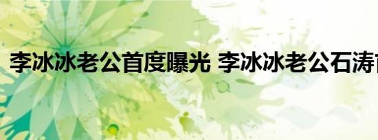 李冰冰老公首度曝光 李冰冰老公石涛首曝光