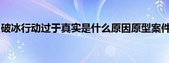 破冰行动过于真实是什么原因原型案件是什么