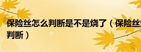 保险丝怎么判断是不是烧了（保险丝烧了如何判断）