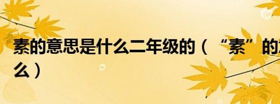 素的意思是什么二年级的（“素”的意思是什么）
