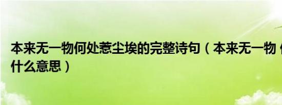 本来无一物何处惹尘埃的完整诗句（本来无一物 何处惹尘埃什么意思）