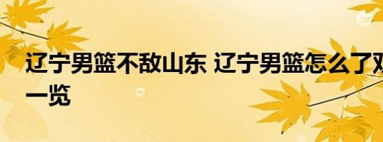 辽宁男篮不敌山东 辽宁男篮怎么了双方数据一览