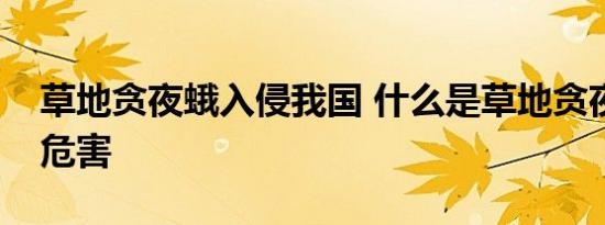 草地贪夜蛾入侵我国 什么是草地贪夜蛾有啥危害