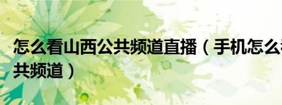怎么看山西公共频道直播（手机怎么看山西公共频道）