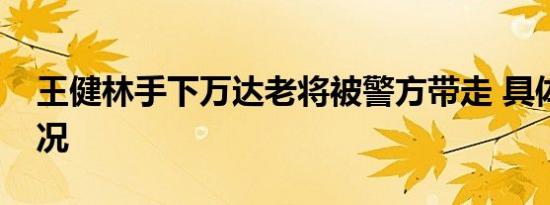 王健林手下万达老将被警方带走 具体是啥情况