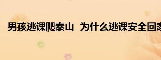 男孩逃课爬泰山 为什么逃课安全回家了吗