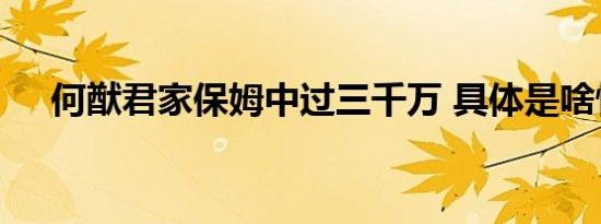 何猷君家保姆中过三千万 具体是啥情况