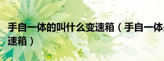 手自一体的叫什么变速箱（手自一体是什么变速箱）