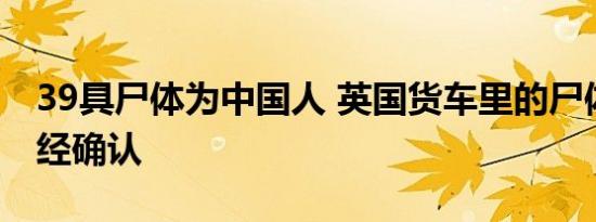 39具尸体为中国人 英国货车里的尸体身份已经确认