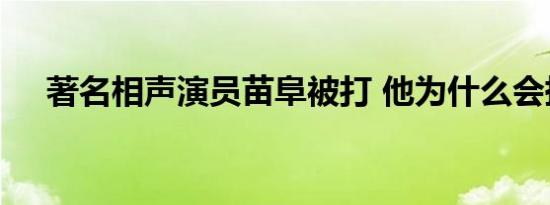 著名相声演员苗阜被打 他为什么会挨揍