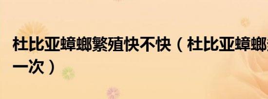 杜比亚蟑螂繁殖快不快（杜比亚蟑螂多久繁殖一次）