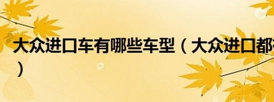 大众进口车有哪些车型（大众进口都有什么车）
