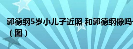 郭德纲5岁小儿子近照 和郭德纲像吗长什么样（图）