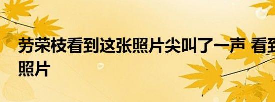 劳荣枝看到这张照片尖叫了一声 看到了什么照片