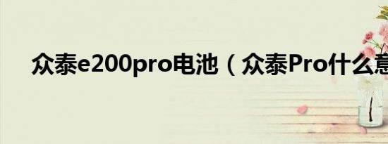 众泰e200pro电池（众泰Pro什么意思）