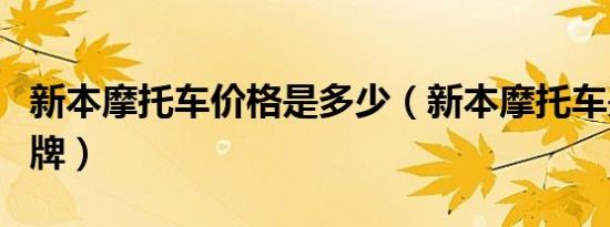 新本摩托车价格是多少（新本摩托车是什么品牌）