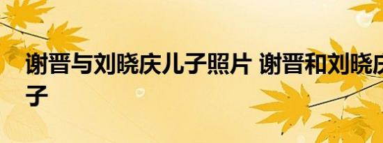 谢晋与刘晓庆儿子照片 谢晋和刘晓庆有个儿子