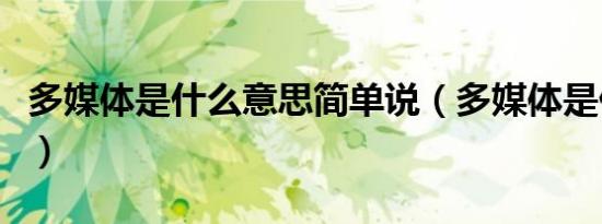 多媒体是什么意思简单说（多媒体是什么意思）