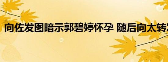 向佐发图暗示郭碧婷怀孕 随后向太转发否认