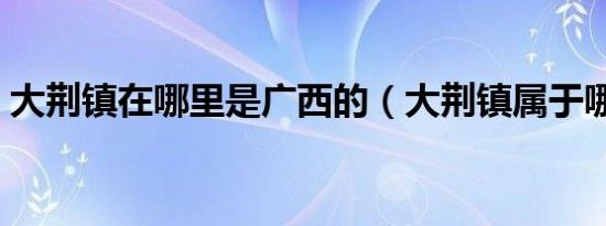 大荆镇在哪里是广西的（大荆镇属于哪个市）