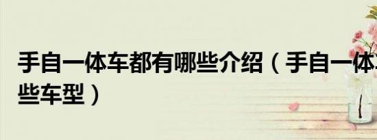 手自一体车都有哪些介绍（手自一体车都有哪些车型）
