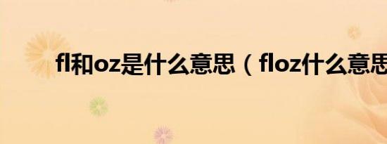 fl和oz是什么意思（floz什么意思）