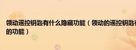 领动遥控钥匙有什么隐藏功能（领动的遥控钥匙有哪些隐藏的功能）
