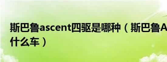 斯巴鲁ascent四驱是哪种（斯巴鲁Ascent是什么车）