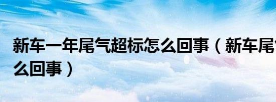 新车一年尾气超标怎么回事（新车尾气超标怎么回事）