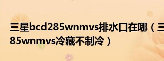 三星bcd285wnmvs排水口在哪（三星bcd285wnmvs冷藏不制冷）