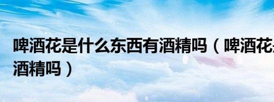 啤酒花是什么东西有酒精吗（啤酒花是什么含酒精吗）
