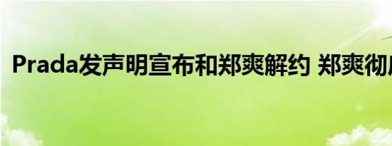 Prada发声明宣布和郑爽解约 郑爽彻底凉了