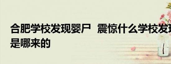 合肥学校发现婴尸 震惊什么学校发现的婴儿是哪来的
