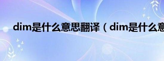 dim是什么意思翻译（dim是什么意思）