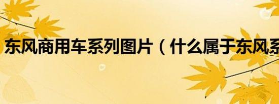 东风商用车系列图片（什么属于东风系列车）