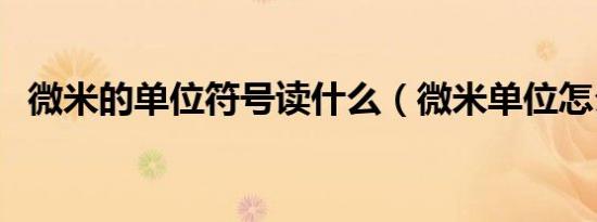 微米的单位符号读什么（微米单位怎么读）