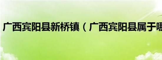 广西宾阳县新桥镇（广西宾阳县属于哪个市）