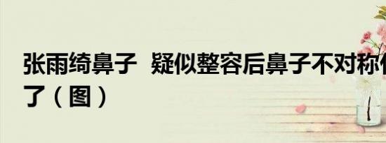 张雨绮鼻子 疑似整容后鼻子不对称什么样子了（图）