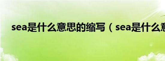 sea是什么意思的缩写（sea是什么意思）