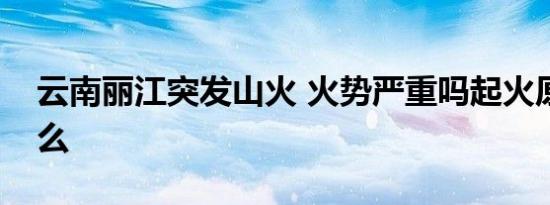 云南丽江突发山火 火势严重吗起火原因是什么