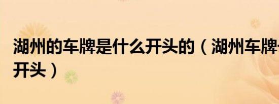 湖州的车牌是什么开头的（湖州车牌号是什么开头）