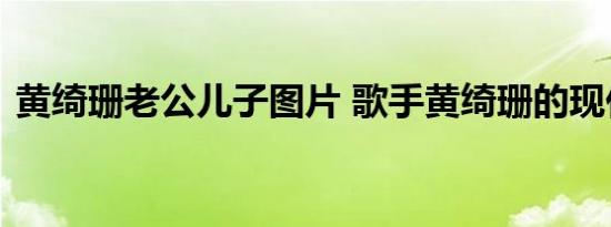 黄绮珊老公儿子图片 歌手黄绮珊的现任老公
