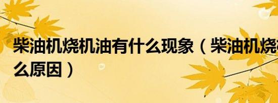 柴油机烧机油有什么现象（柴油机烧机油是什么原因）
